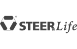 Steer