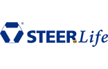 Steer