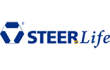 Steer